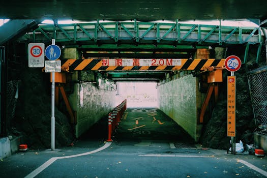 Title: Navigating the Future: Casinos, Culture, and the Japanese Dream