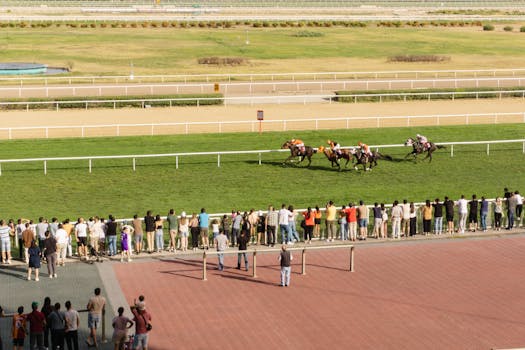 Understanding Japan's Horse Racing Betting Laws: A Guide for Enthusiasts