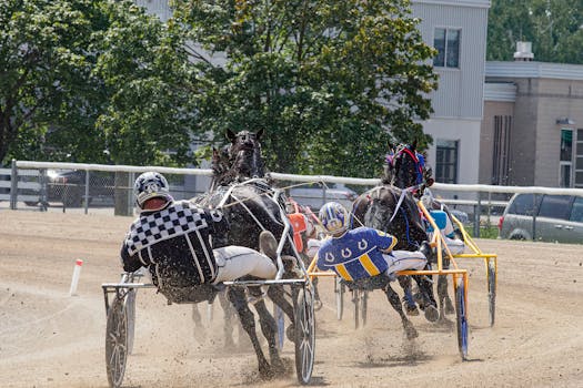 Explore the Thrills of UK Horse Racing: History, Impact & Future Trends